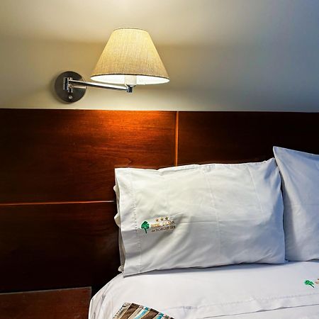 Hotel Plaza Del Bosque Inn 팅고 마리아 외부 사진