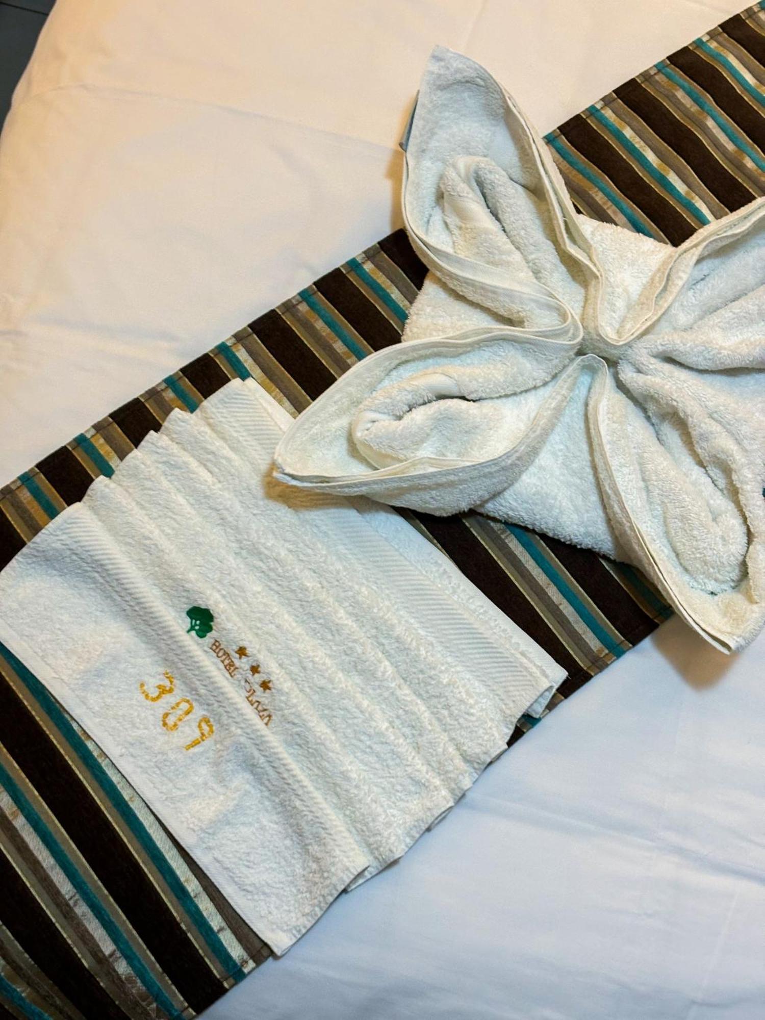 Hotel Plaza Del Bosque Inn 팅고 마리아 외부 사진